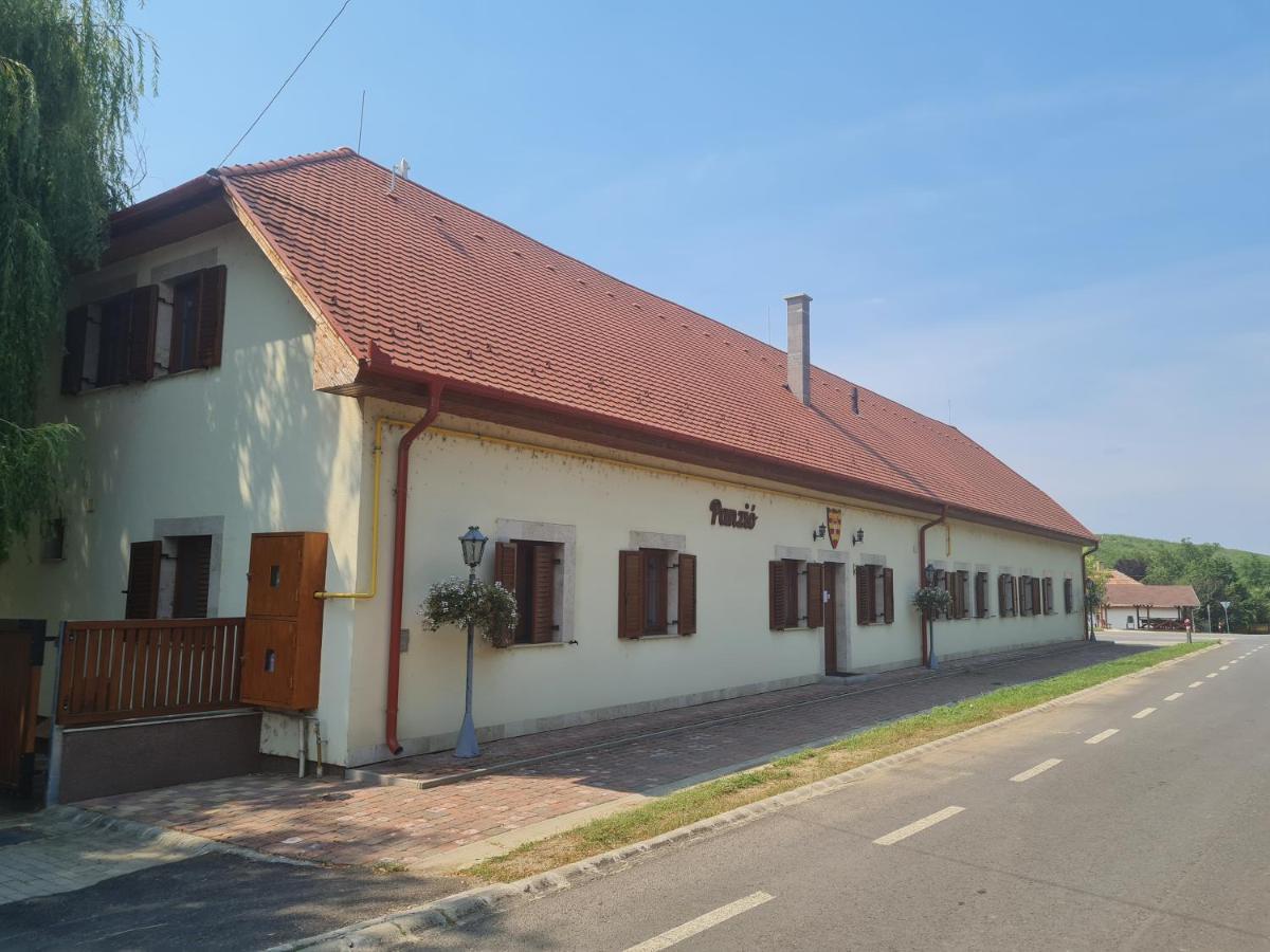 Bed and Breakfast Toroes Panzio Szabolcs Zewnętrze zdjęcie