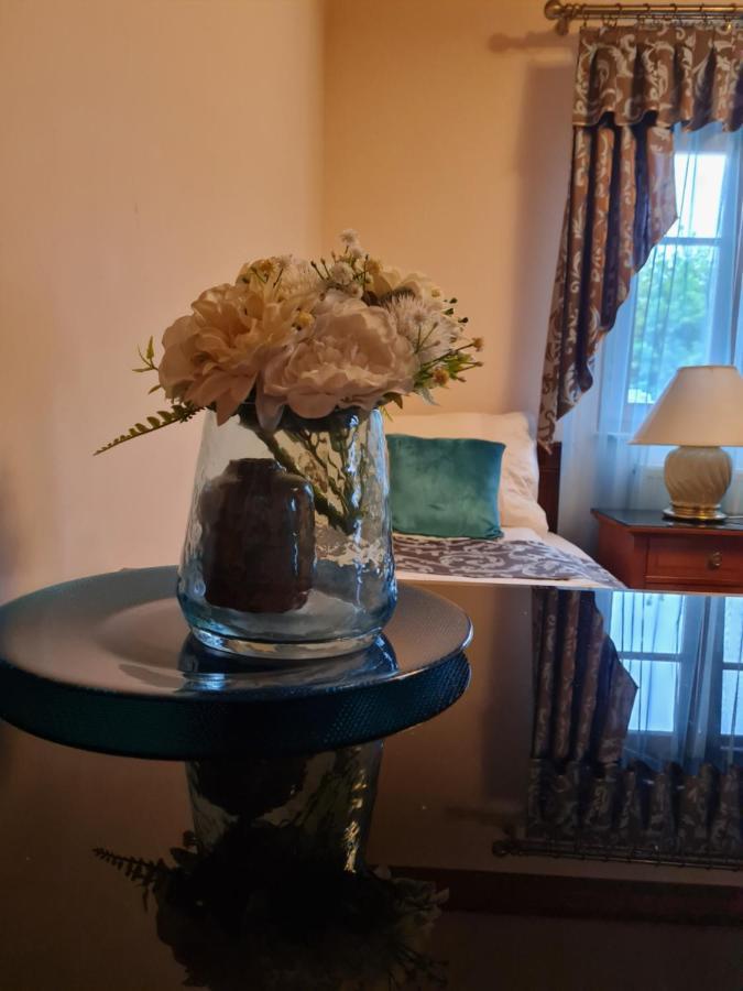 Bed and Breakfast Toroes Panzio Szabolcs Zewnętrze zdjęcie